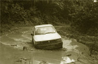 flood