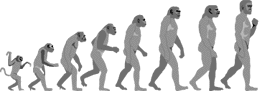 Evolution